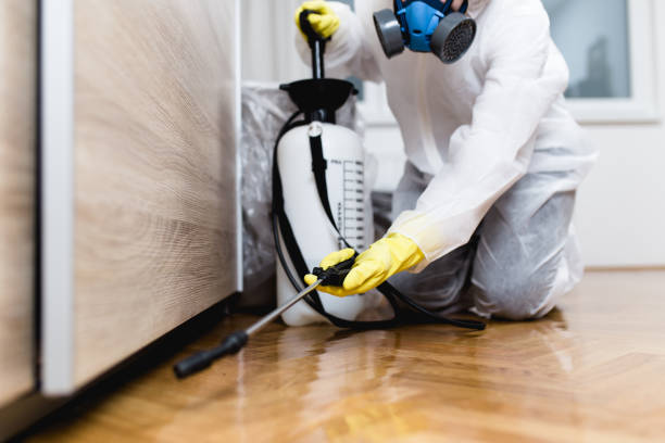Best Best Pest Control Companies  in Everman, TX