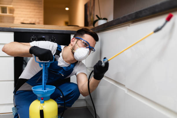 Trusted Everman, TX Pest Control Experts