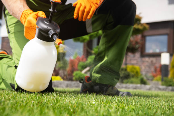 Best Residential Pest Control  in Everman, TX