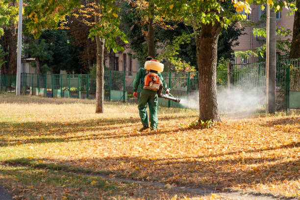 Best Emergency Pest Control  in Everman, TX